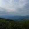 graysonbrook796